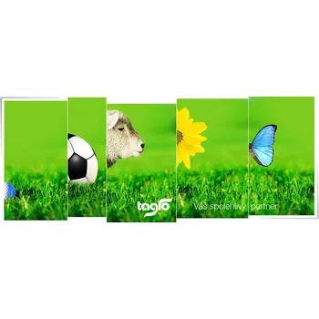 Travní směs TAGRO s.r.o. TRAVNÍ SMĚS - univerzál kg: 10 kg