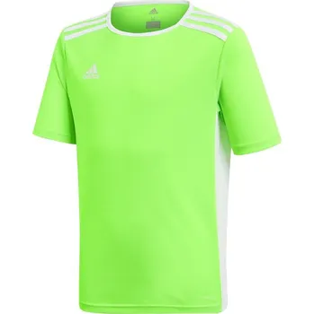Pánské tričko Dětský dres Entrada 18 Jr CE9755 - Adidas 116