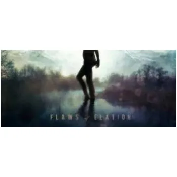 Zahraniční hudba CD Ashent: Flaws Of Elation 2013