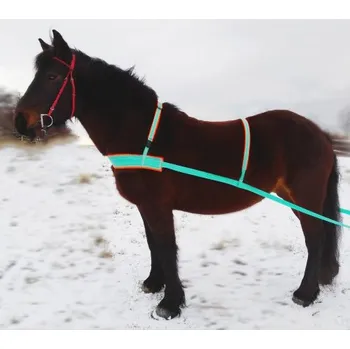 Postroj pro psa Nylonový postroj na SKIJORING s výšivkou zdarma