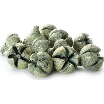 Zahradní dekorace Šišky cypřiš 180g mint (786170)