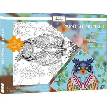 Grafix Malování podle čísel na plátno Sova, 40x50 cm