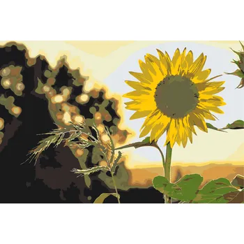 Malování podle čísel - Slunečnice na louce Velikost: 40x60cm, Rámování: Pouze srolované plátno