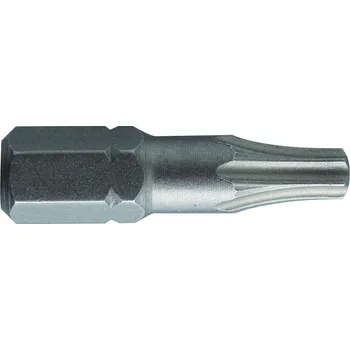 Šroubovák Šroubovací bity TORX 2 ks HOGERT Typ bitu: T20