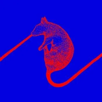 Zahraniční hudba LP The Dwarfs of East Agouza: Rats Don't Eat Synthesizers LTD 2018