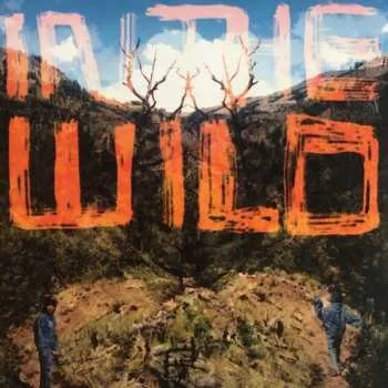 Zahraniční hudba 2LP FaltyDL: In The Wild 2014