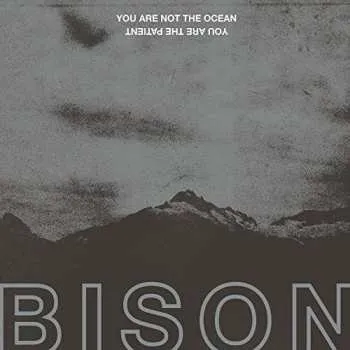 Zahraniční hudba LP Bison B.C.: You Are Not The Ocean You Are The Patient 2020
