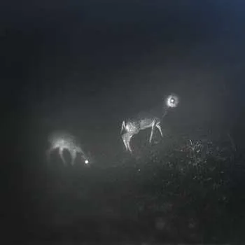 Hudba LP Bliss Signal: Bliss Signal, Mumdance, Wife 2019