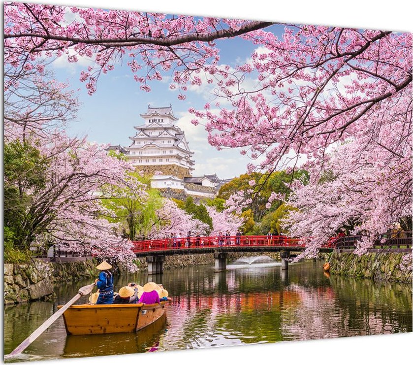 LuxusniObrazy.cz Obraz japonské třešně