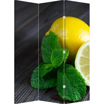Paraván LuxusniObrazy.cz Paraván - Citrón a máta na stole