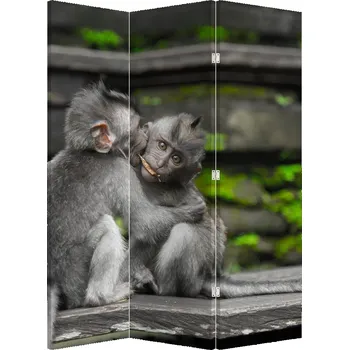 Paraván LuxusniObrazy.cz Paraván - Opička