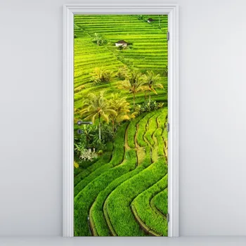 Fototapeta LuxusniObrazy.cz Fototapeta na dveře - Rýžové terasy