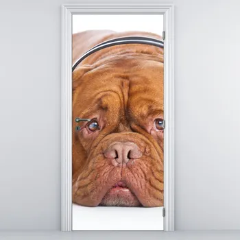 Fototapeta LuxusniObrazy.cz Fototapeta na dveře - Pes se sluchátky