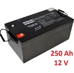 Trakční baterie (GEL) OTL 250 Ah , 12 V , kontakty T3 , GOOWEI ENERGY (Goowei)