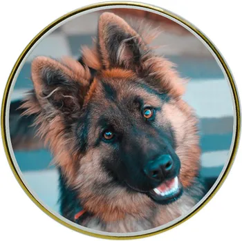 Smuteční dekorace Fotografie na hrob pro psa nebo kočku - Kruh