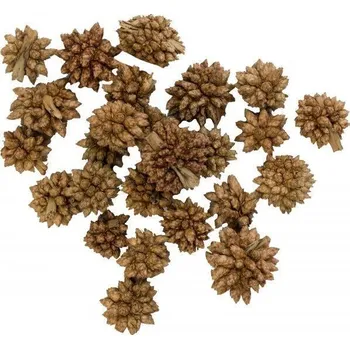 Vánoční dekorace Dekorace - Star flower 12g