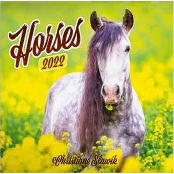 Kalendář Presco Group Koně Christiane Slawik 2022