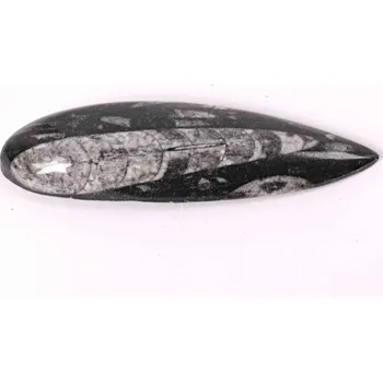 Přírodní kámen Magieprirody.cz Fosilie Orthoceras 125 mm (Maroko) #150