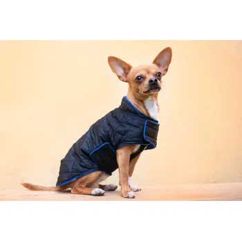 Obleček pro psa Vsepropejska Frosty prošitá zimní bunda pro psa Barva: Černo-modrá, Délka zad (cm): 48, Obvod hrudníku: 48 - 80 cm