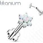 Šperky4U PUSH IN piercing do brady / ucha TITAN 1,2 x 8 mm - TIT1193-OP17