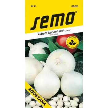 Cibule kuchyňská Agostana