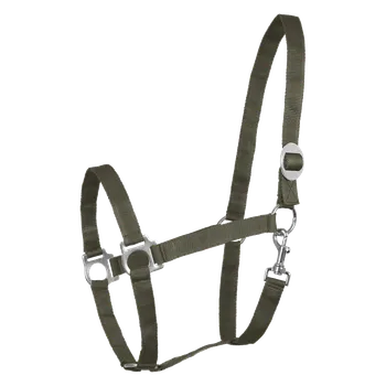 Jezdectví Waldhausen Ohlávka Perlon Waldhausen, khaki zelená Barva: Zelená, Velikost: PONY