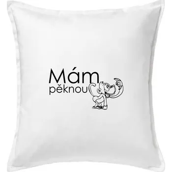 Polštář Mám pěknou vopici - Polštář 50x50 - 50x50 - Včetně výplně ( Bílá )