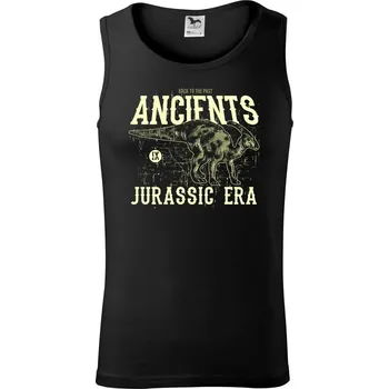 Pánské termoprádlo Para ancient - Tílko pánské Core - S ( Černá )