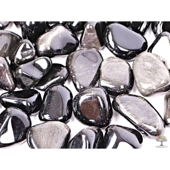 Sběratelství Magieprirody.cz Tromlovaný kámen Obsidián stříbrný M velikost 20 - 35 mm - USA #183 Množství: 1ks