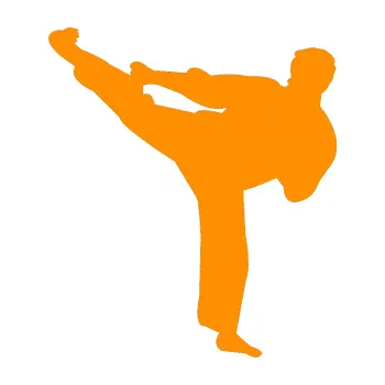 Polep vozidla Karate 008 levá (06 - oranžová) SAMOLEPKA NA AUTO, NÁLEPKA, FÓLIE, POLEP, TUNING, VLASTNÍ TEXT, TISK, AUTOSAMOLEPKY.cz, POLEPY, OBRÁZEK, LOGO, 3D STICKERS