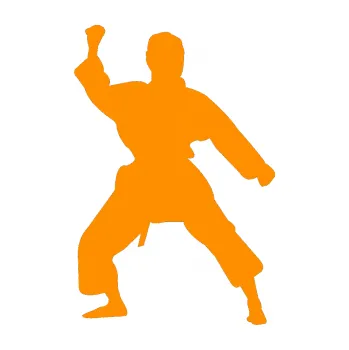 Polep vozidla Karate 011 levá (06 - oranžová) SAMOLEPKA NA AUTO, NÁLEPKA, FÓLIE, POLEP, TUNING, VLASTNÍ TEXT, TISK, AUTOSAMOLEPKY.cz, POLEPY, OBRÁZEK, LOGO, 3D STICKERS