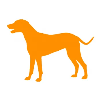 Polep vozidla SAMOLEPKA Pes 095 levá Dalmatin (06 - oranžová) NA AUTO, NÁLEPKA, FÓLIE, POLEP, TUNING, VLASTNÍ TEXT, TISK, AUTOSAMOLEPKY.cz, POLEPY, OBRÁZEK, LOGO, SAMOLEPKY