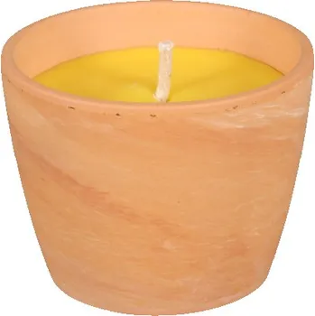 Svíčka Svíčka citronELLA GUZMANIA 1knot plus obal 250g d1