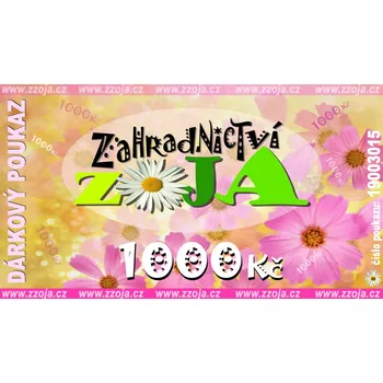 Dárkový potravinový koš DÁRKOVÝ POUKAZ NA 1000Kč - motiv kytičky duhové - zasíláme v PDF