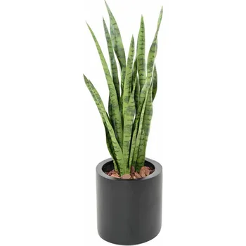 umělá květina Luxusní umělá rostlina Sansevieria zelená, 85cm