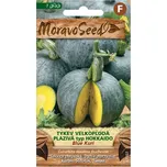 MoravoSeed Blue KurI Hokkaido tykev…