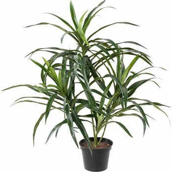 umělá květina Umělá palma Dracena Anita, 45cm