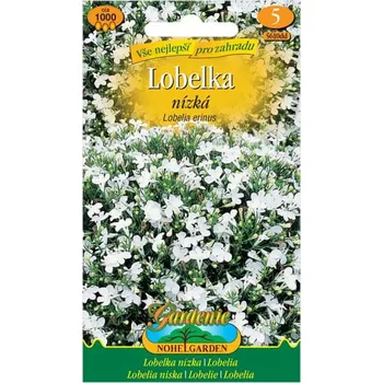 Semeno Nohel Garden Lobelka drobná bílá 1000 ks