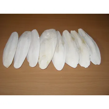 Krmivo pro ptáka Zagers Vogelvoeders Sépiová kost pravá cca 25 cm balení 8 ks