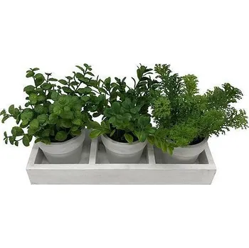 Květináč Mix bylin sukulent, MagicHome, 18 cm, květináč - papír, 3 ks