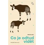 Co je odtud vidět - Mariana Leky (2022,…