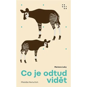 Co je odtud vidět - Mariana Leky (2022, brožovaná)