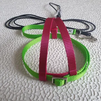 Postroj pro psa Postroj pro papoušky JMK vel.S,M,L barevná kombinace - Barva: Fialovo zelená, Velikost: M