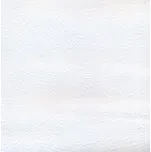 Papírová tapeta bílá 2001900 / Levné tapety na zeď Vavex 2017 (0,53 x 10,05 cm)