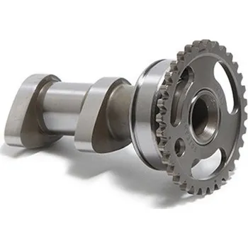 Vačková hřídel Camshaft intake HOT CAMS 2198-2IN