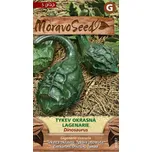 MoravoSeed Dinosaurus tykev okrasná…