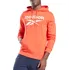 Pánská mikina Reebok Identity Big Logo Hoodie GI8690 L