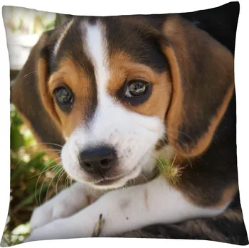 Polštář Polštář s motivem psa 12 Mybesthome 40x40 cm Varianta: Povlak na polštář s prošívanou výplní, 40x40 cm