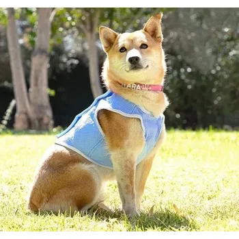 Obleček pro psa Prodyšná chladivá vesta pro malé psy