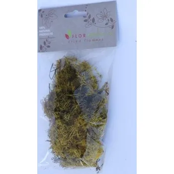 umělá květina Islandský st mech 20gr žlutá